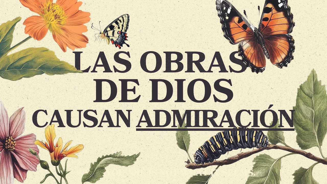 Las Obras De Dios Causan Admiración // 02/08/26