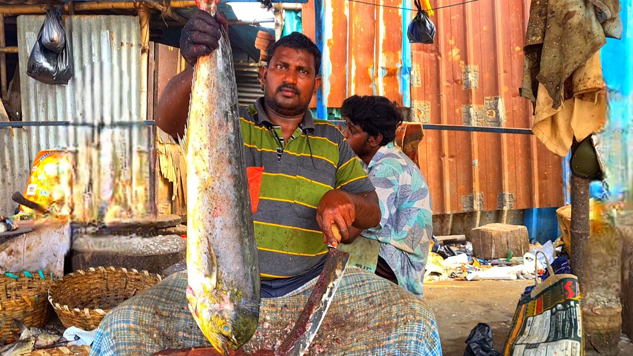 KASIMEDU FISH MARKET 🔥 PARLAA FISH CUTTING 🔥  #kasimedufishmarketlatest #speedselvam