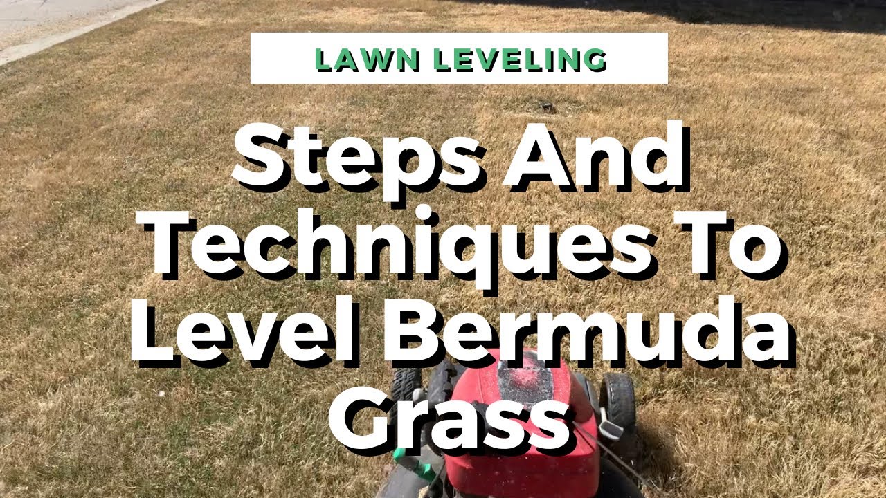 Simple Steps And Techniques To Level Your Bermuda Lawn