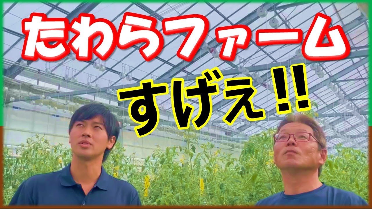 たわらファーム様に農場見学させていただきました！