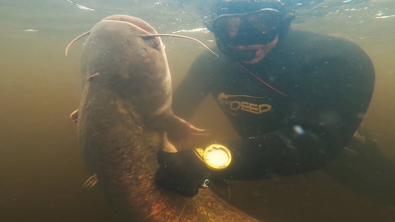 Подводная Охота весной 