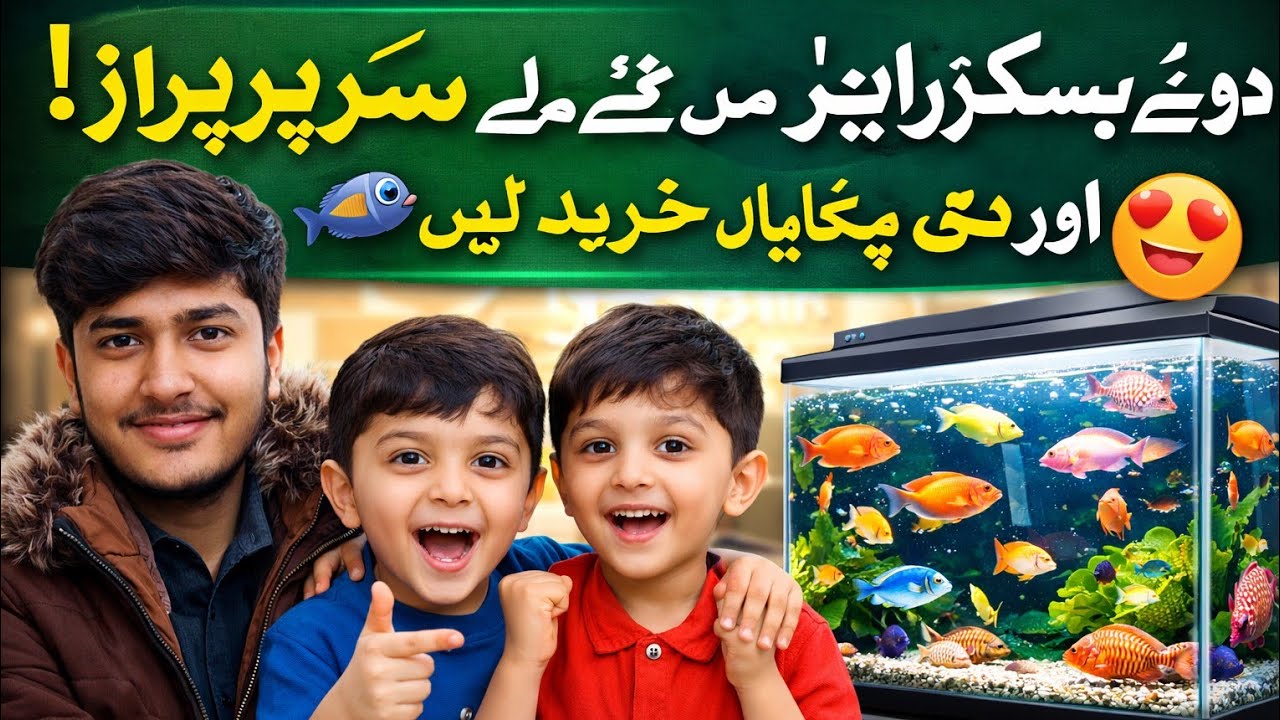 Do chhote chhote subscriber Mila/Sari fishes la li/ساری مچھلیاں لے لیں/اڑے ہوئے کبوتر بھی واپس اگئے