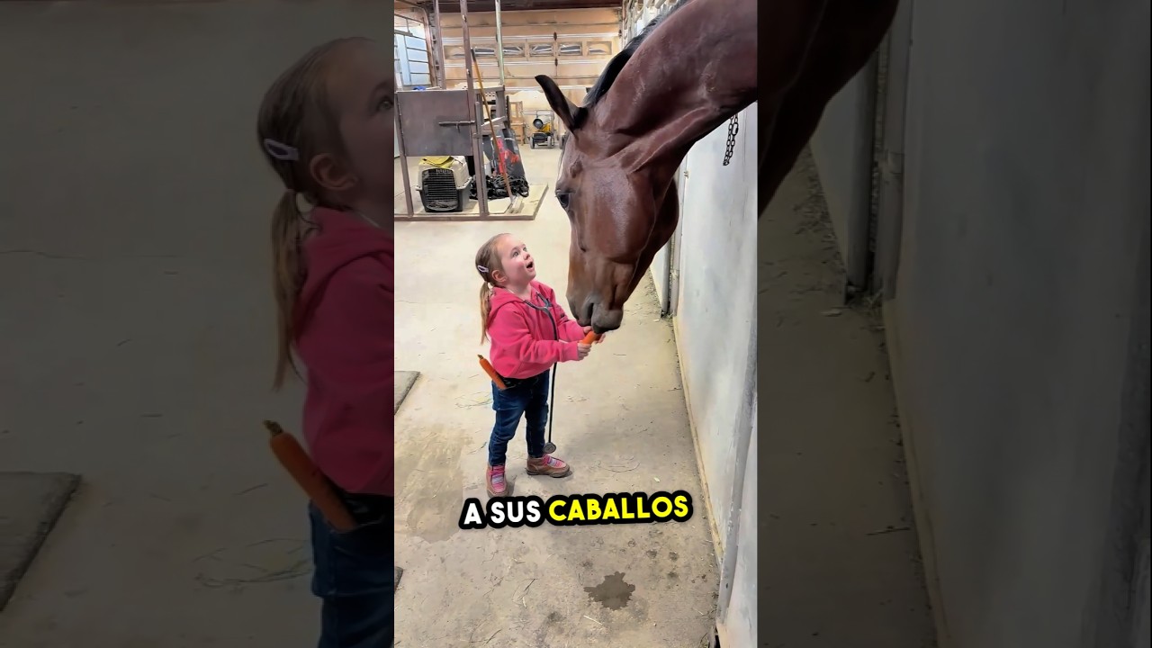 Esta ni&ntilde;a alimenta a sus caballos todos los d&iacute;as con cari&ntilde;o 🐴💖