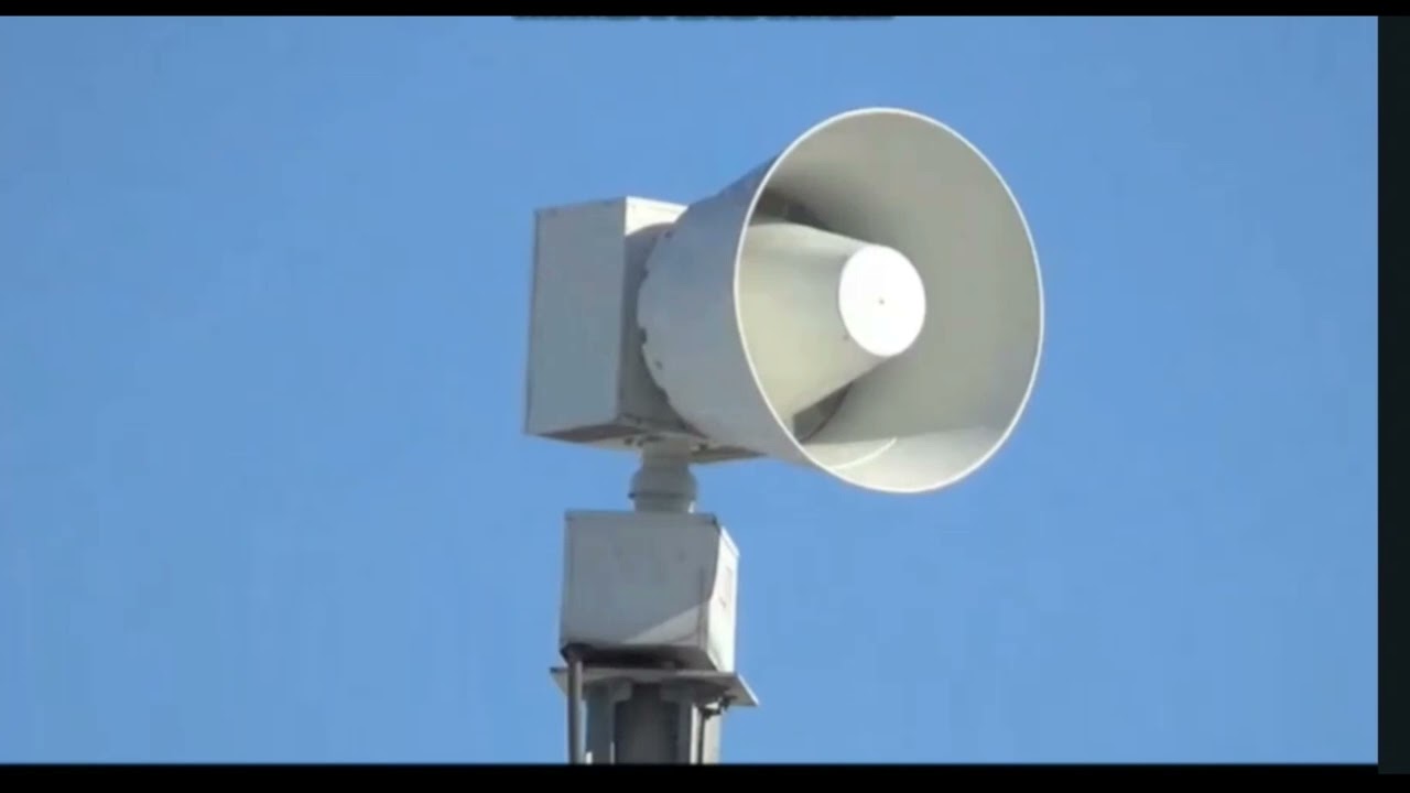 The Random siren shorts 3