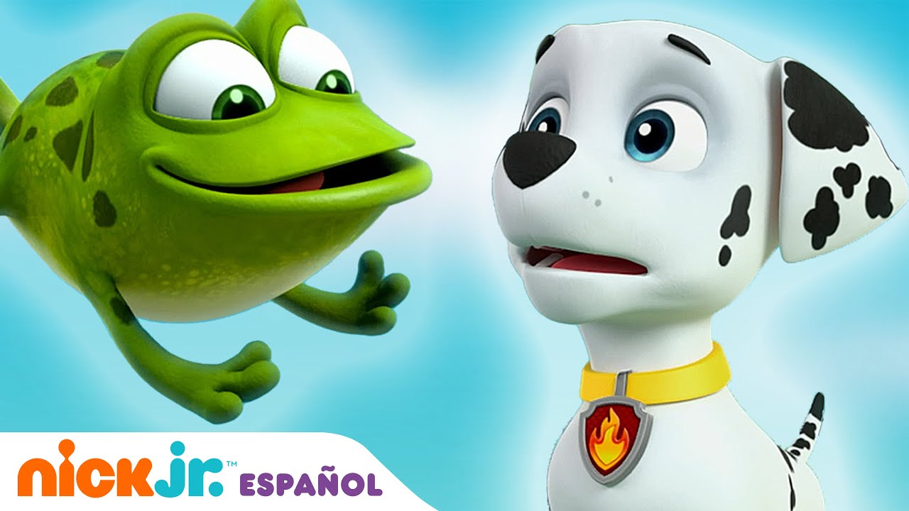 PAW Patrol, Patrulla de cachorros | La traviesa amiga rana de Marshall | Nick Jr. en Español