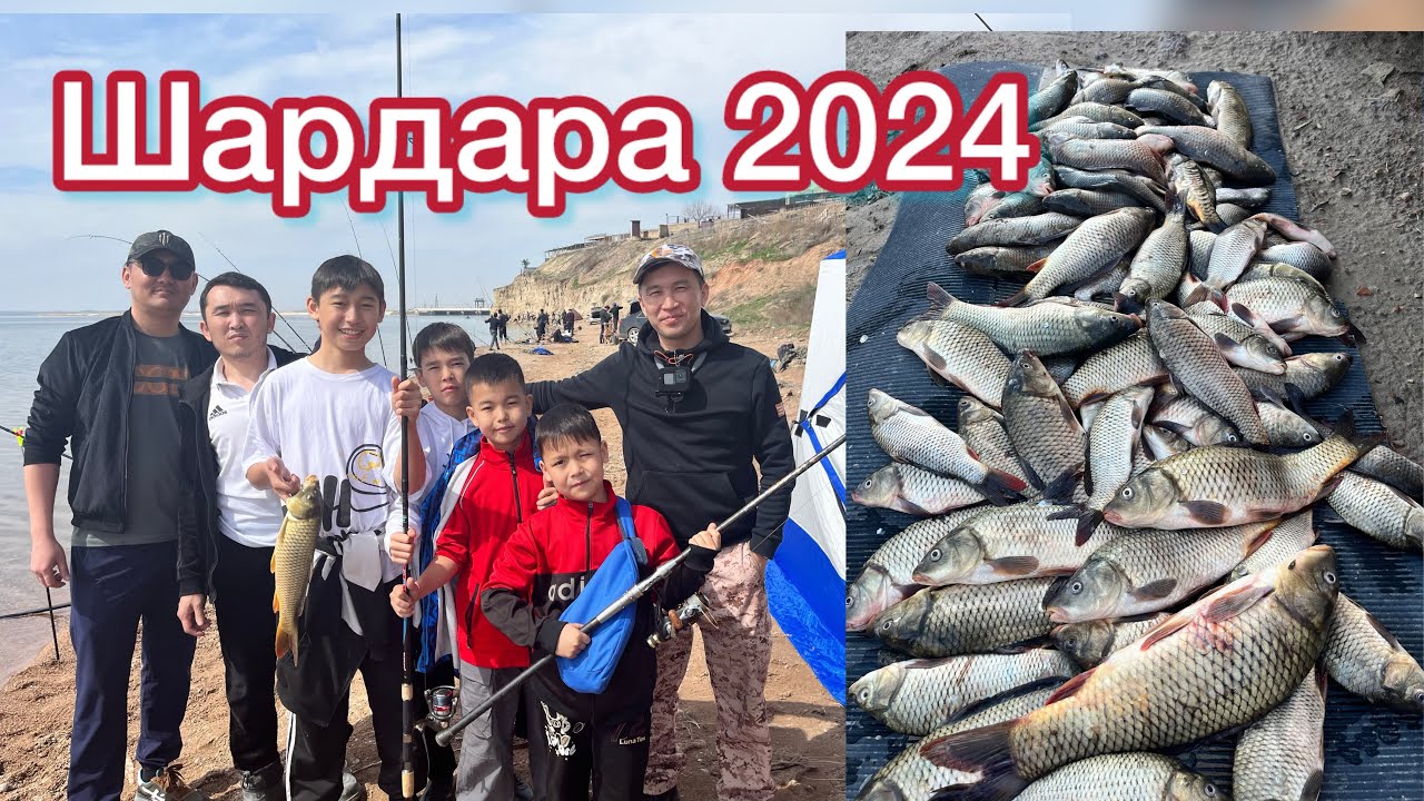 Сырдария-Шардара Су қоймасы-2024ж  Сазандар өте көп!!!