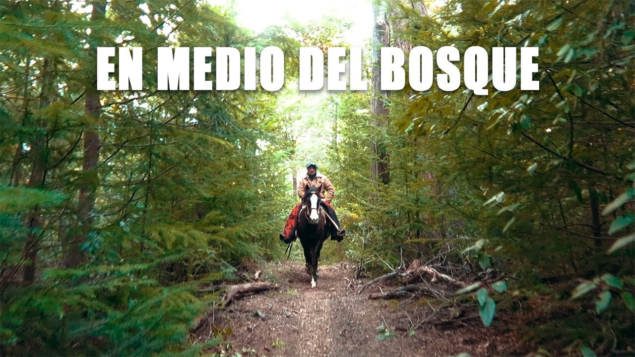 CABALGATA POR LOS BOSQUES PATAGÓNICOS EN VILLA LA ANGOSTURA
