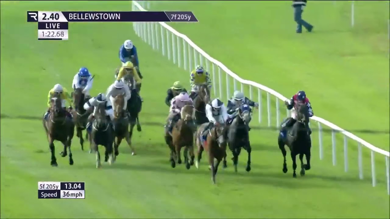 Manhattan Dandy Bellllewstown Oct 2 2024