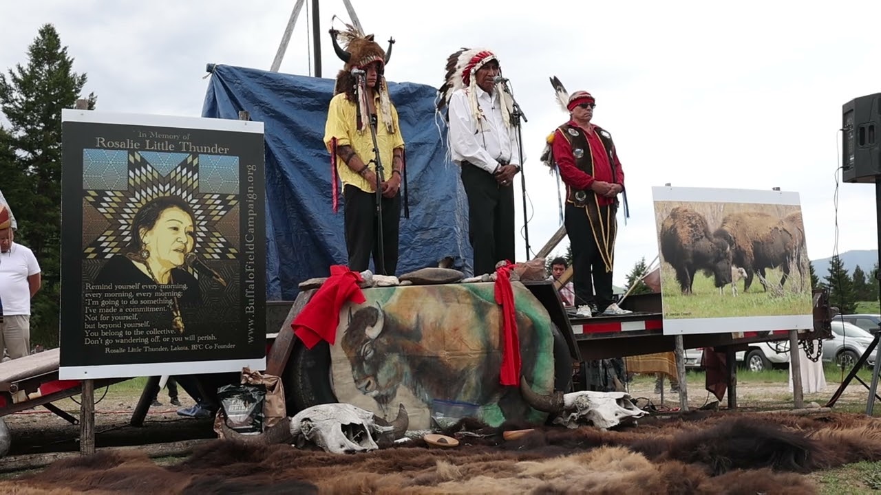 Video: Chief Arvol Looking Horse speaks at white buffalo calf ceremony