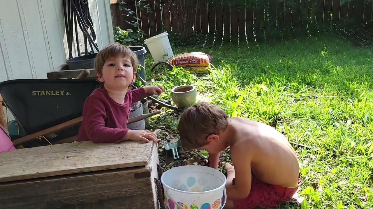 2025 06 03 17 35 48