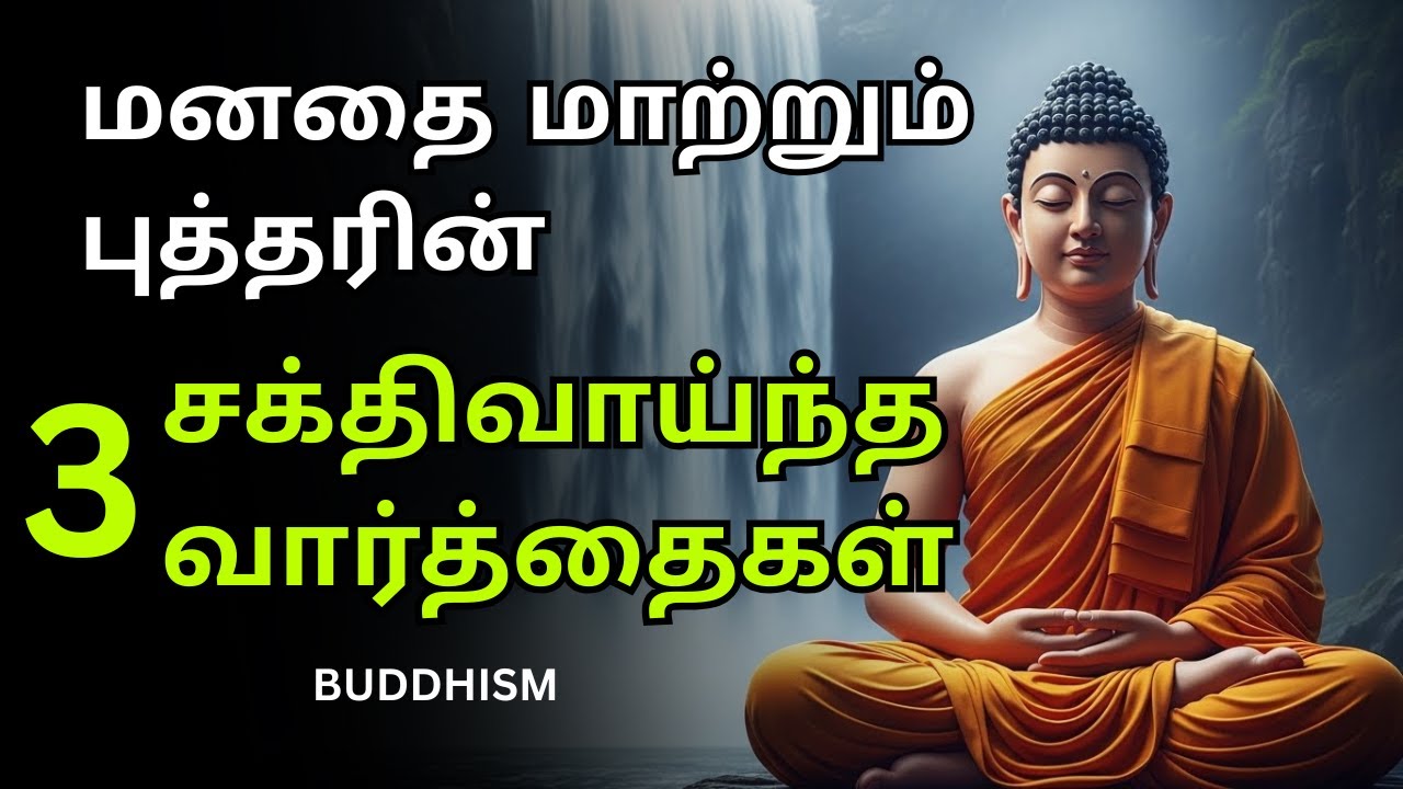 These 3 Buddha Wisdom Quotes Can Change Your Life in 24 Hours