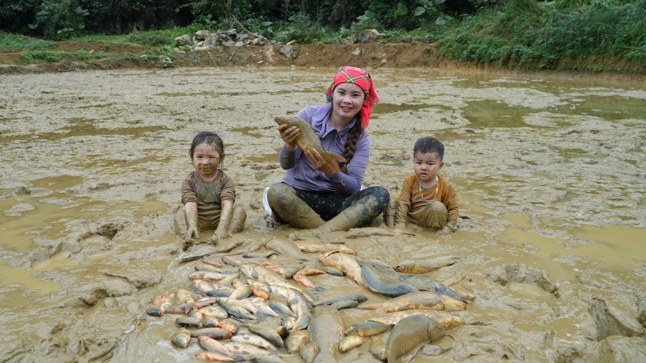 How to harvest giant carp to sell at the market - Grilling the fish for the kids to eat