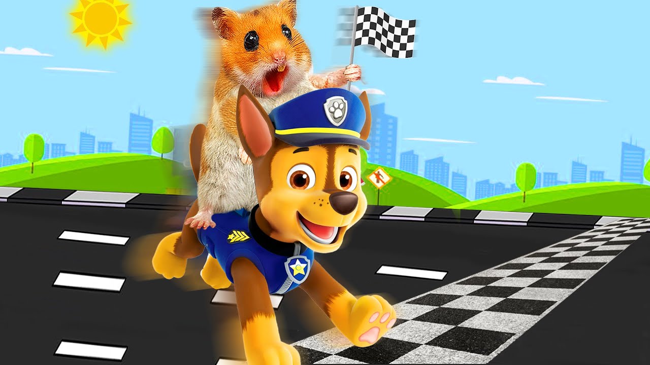 Fast & Furry-ous! Hamster And Chase's Street Pursuit! | Hammy Haven🐹