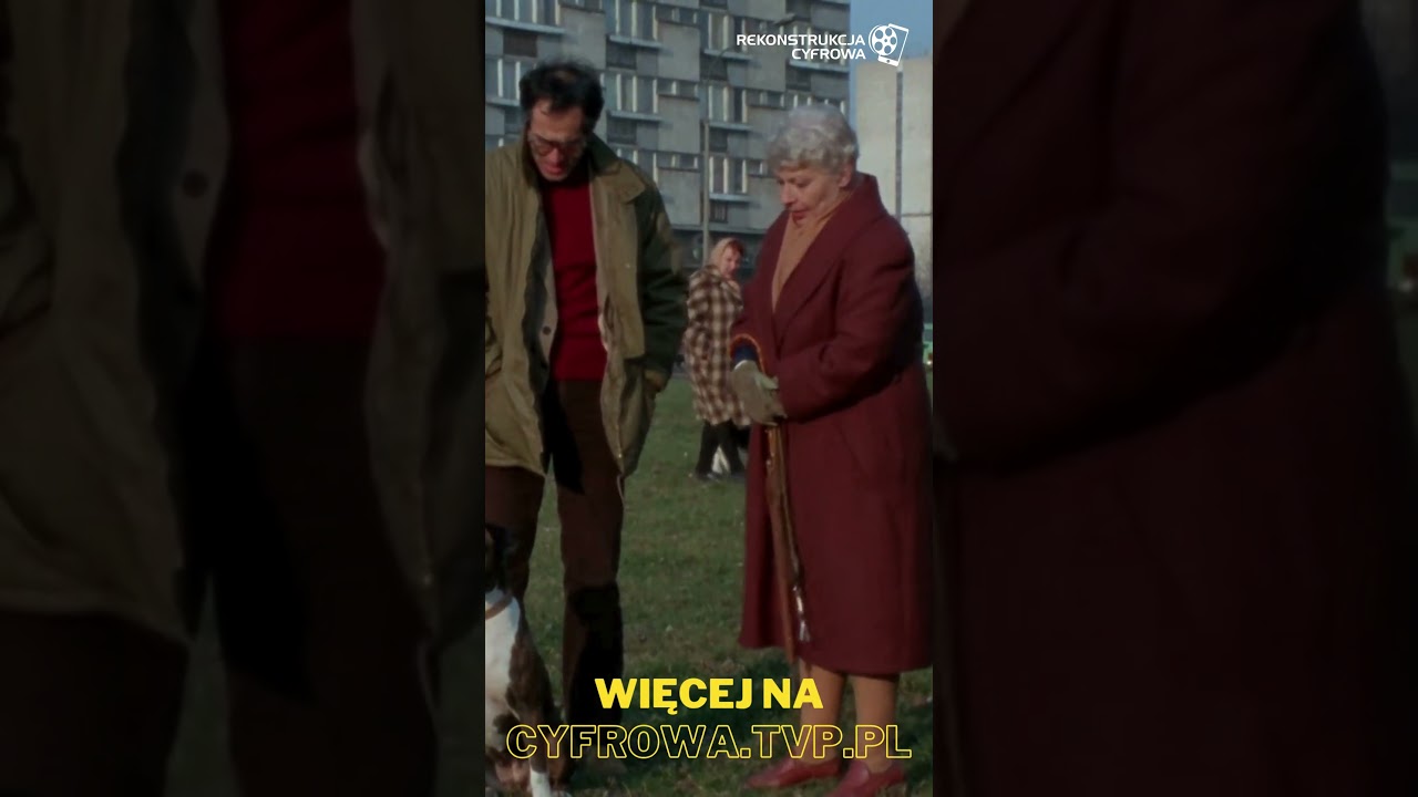 „Widać, że rasowy...kundle są mądrzejsze” „Głód serca” (1986) reż. Roman Załuski