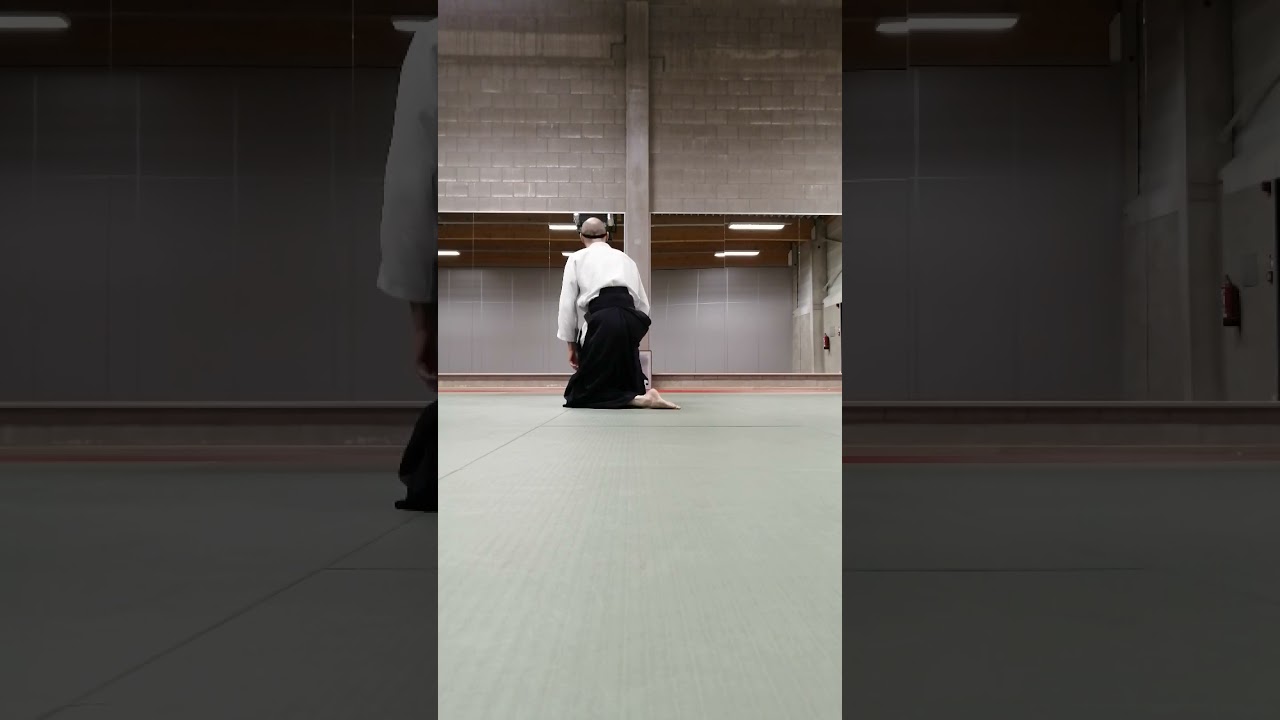 Basic Ushiro Ukemi in Aikido, first steps | back view | how to start and learn to roll backwards