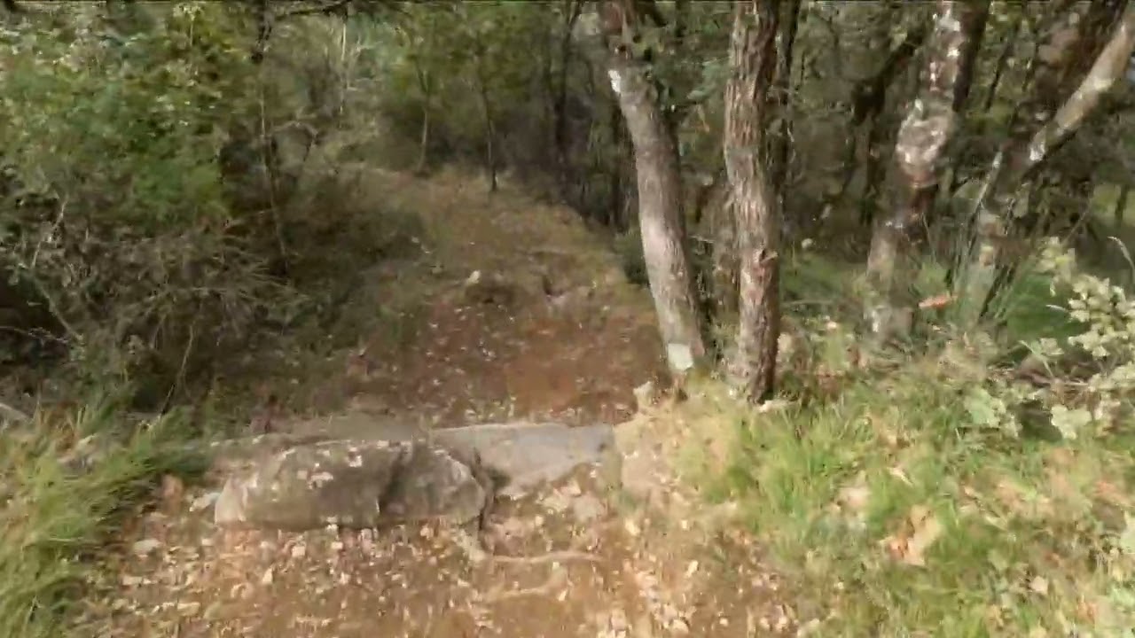 Trail Pianettole Monte Morello - e-bike - GoPro HD