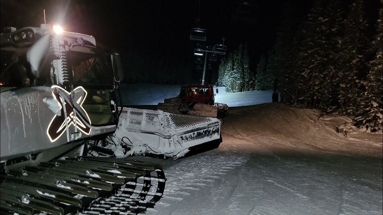 Cold Morning Pack Grooming