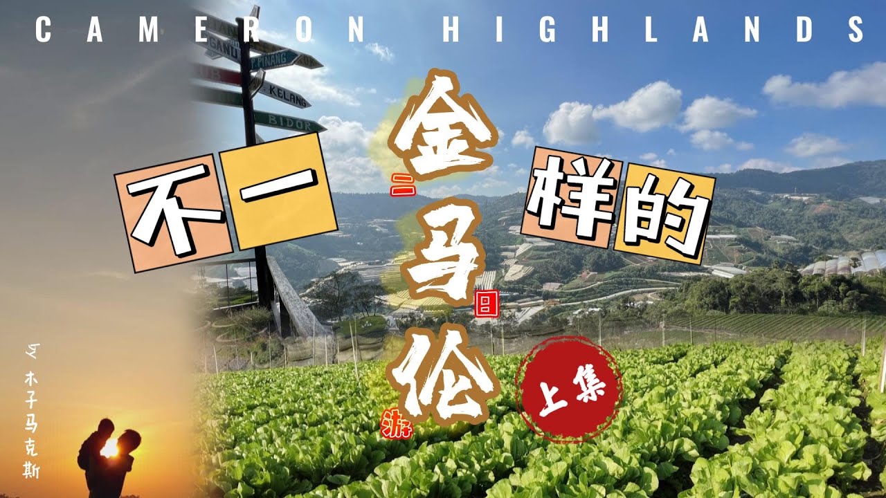 【寻乡探秘 01】（上集）#金马伦高原 #Cameron Highland #三天两夜 #全新体验# #新景点#竟然可以 #看日出云海#？ 到菜园农场收割蔬菜 摘番茄| 参观#葡萄园#| #木鳖果园#