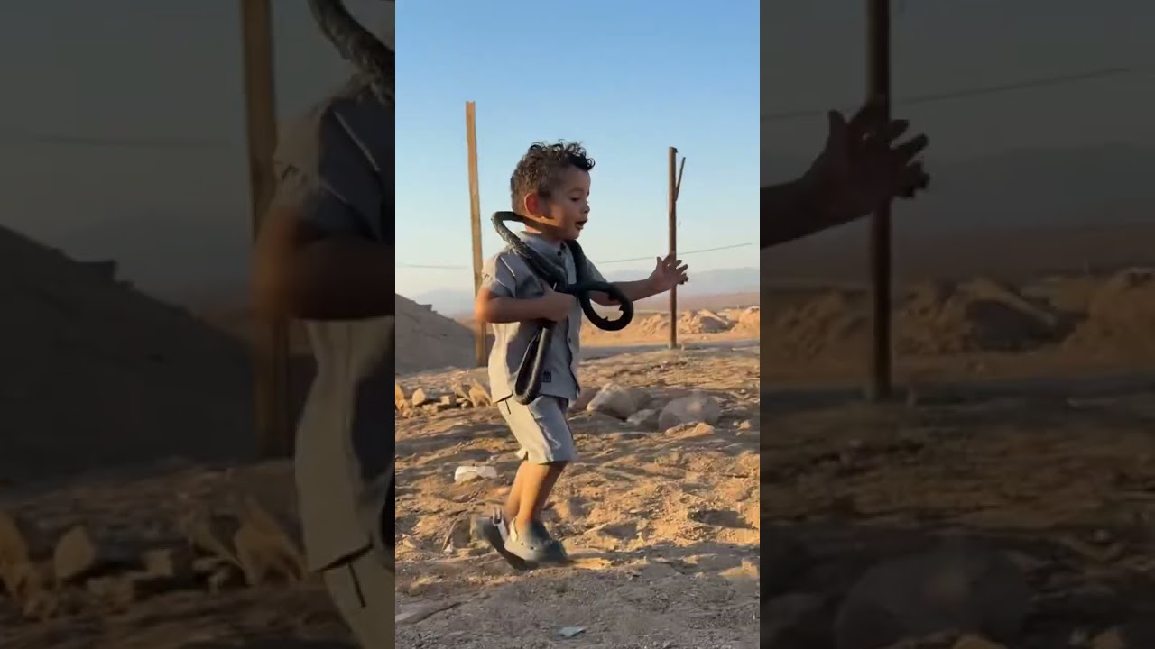 فيصل و الخيل 