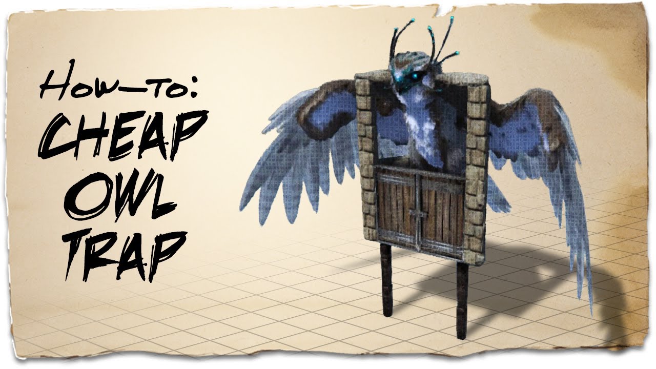 How to build a Snow Owl trap (ASE) (SEE DESCRIPTION)