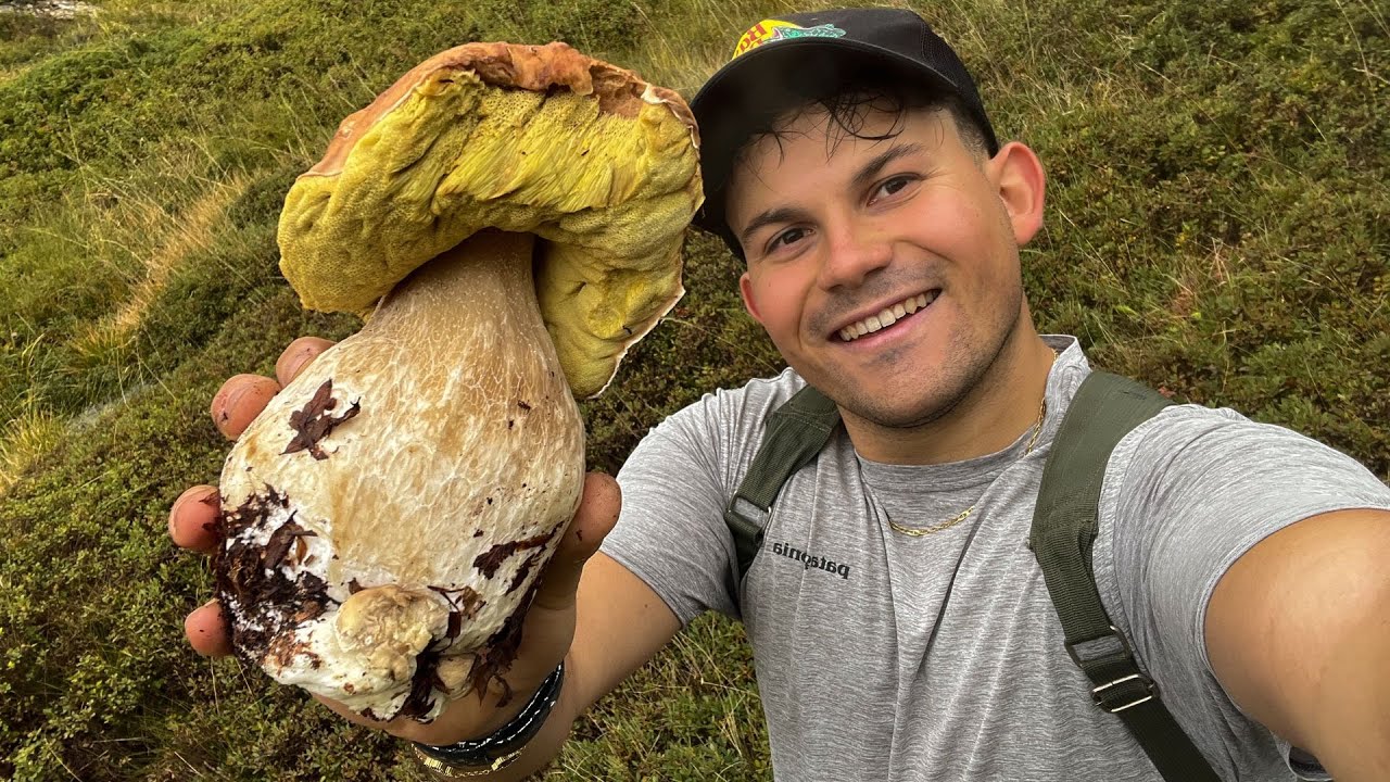 IL PORCINO GIGANTE NEL MIRTILLO! -RECORD PERSONALE!-