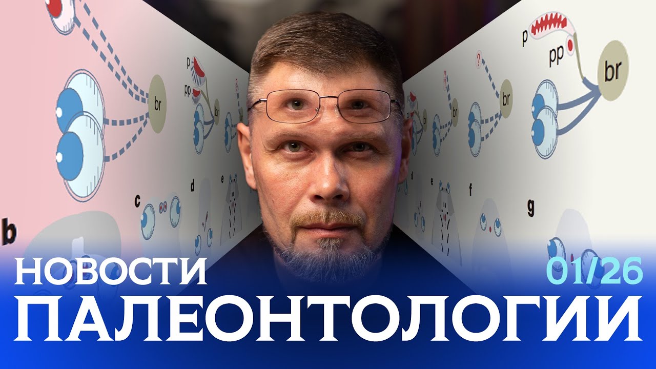 Четырёхглазые позвоночные | ИИ определяет следы динозавров | Цератопсы Европы | Троодонтиды бодались
