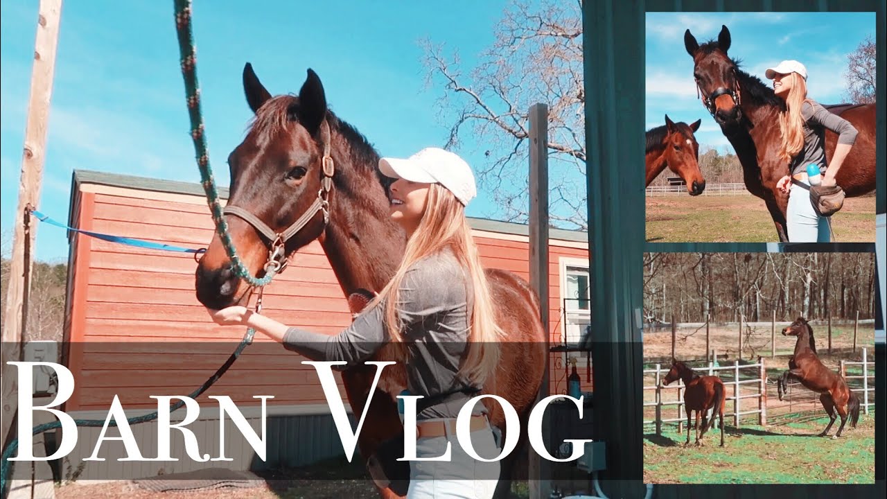 HAVEN'T WORKED W MY HORSE IN MONTHS & LOOK WHAT HAPPENED // *lol hi clickbait & also barn vlog #19?*