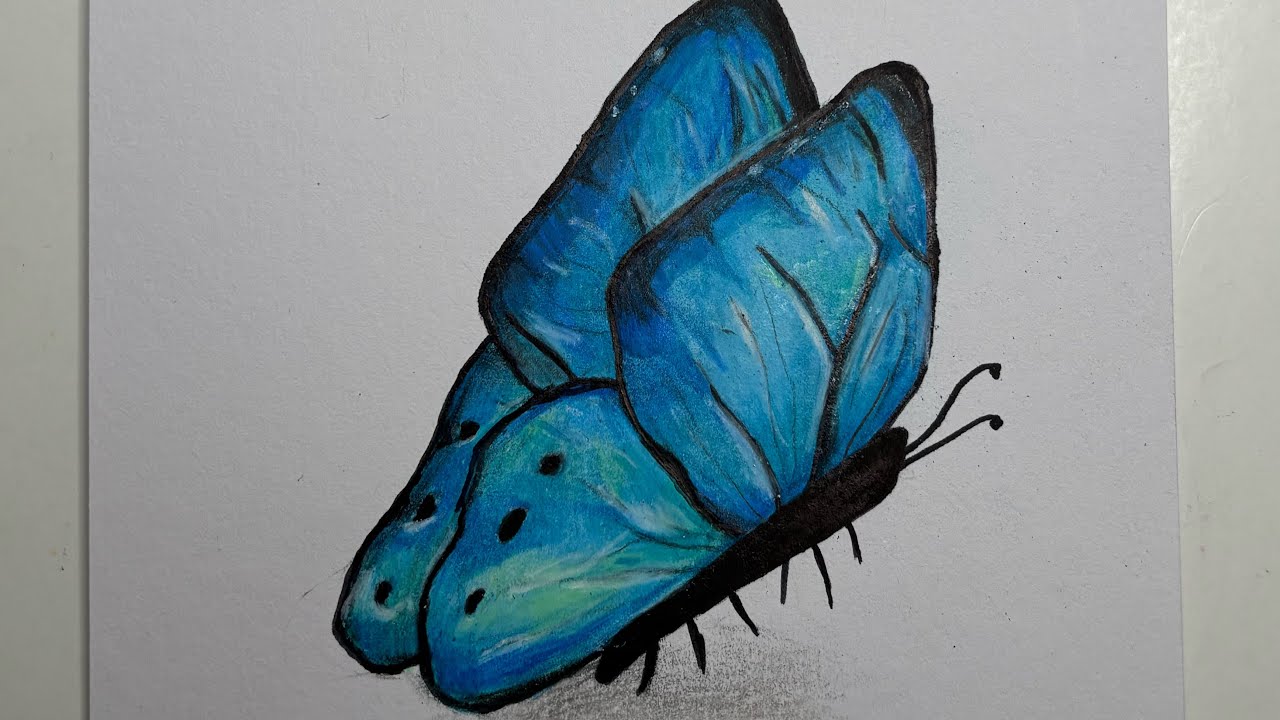 Butterfly art !!