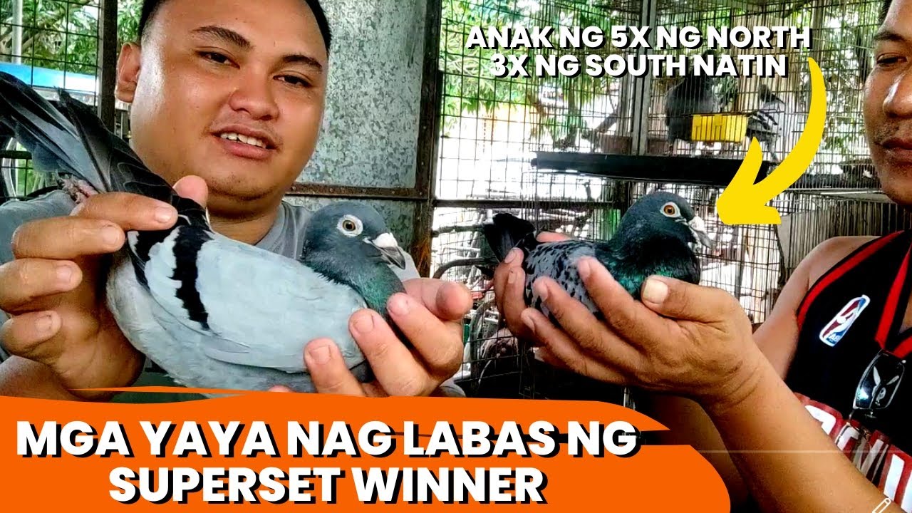 MGA LAHI NG MONEY MAKER NATIN SA LOFT - KUMAKABIG NG SAMPUNG LIBO KADA LIPAD
