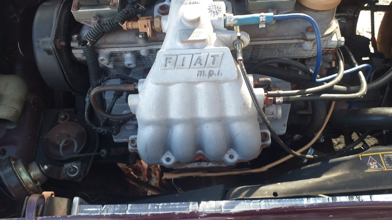 fiorino 97 bebendo muito resolvido