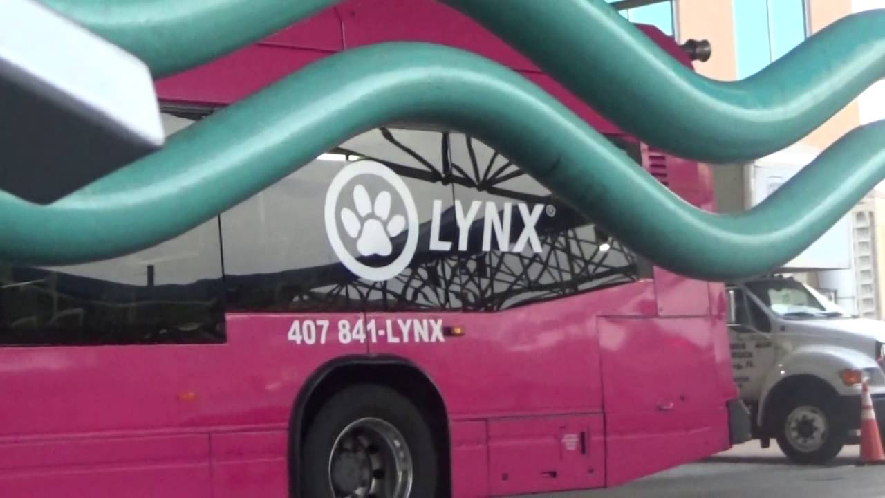 Orlando Lynx Buses 9-26-16
