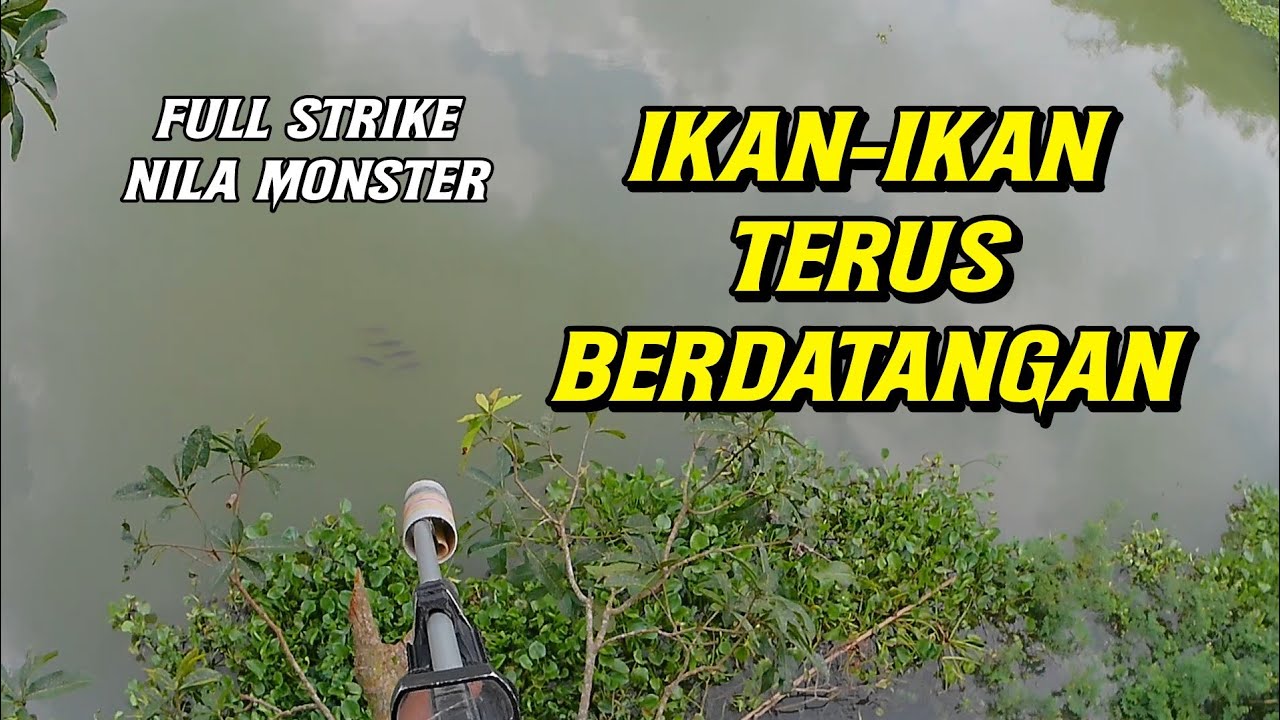 PASER IKAN ] MERINDING😱... ROMBONGAN IKAN MONSTER TERUS BERDATANGAN !!!
