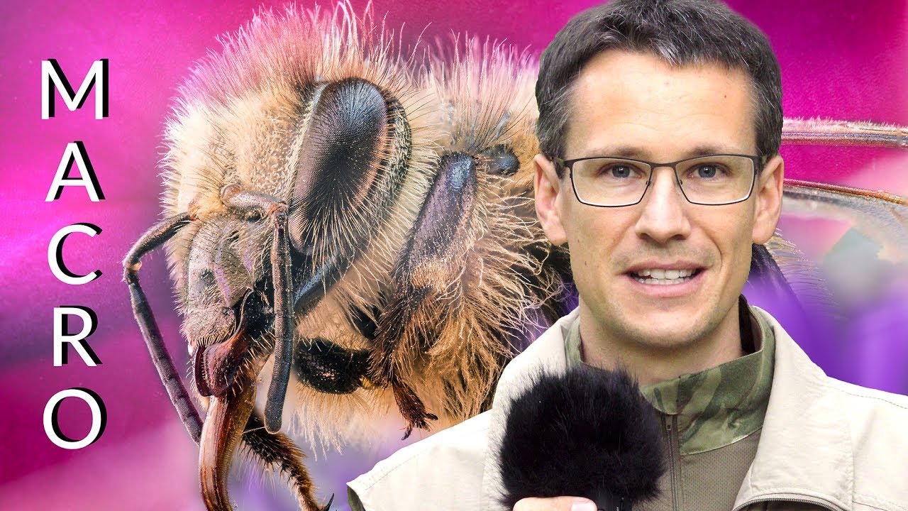 Makro und Mikro EXTREM mit billigen Objektiven 📸 Vorgehensweise