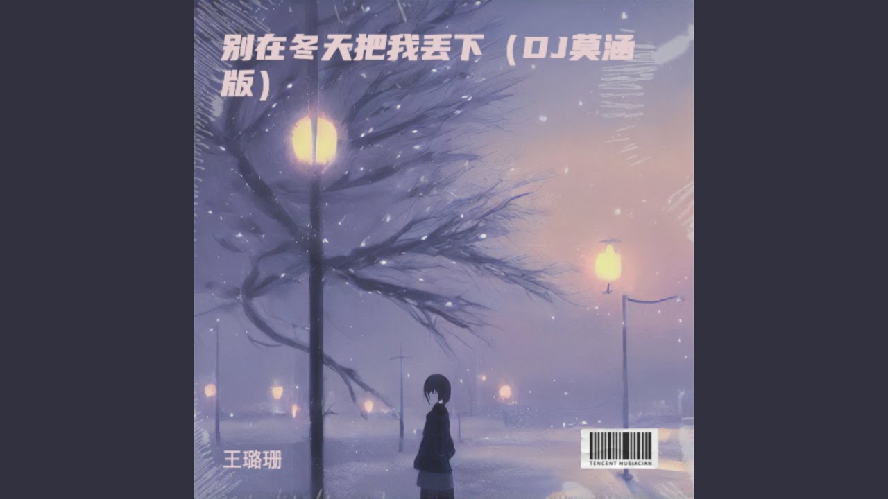 别在冬天把我丢下（DJ莫涵版）