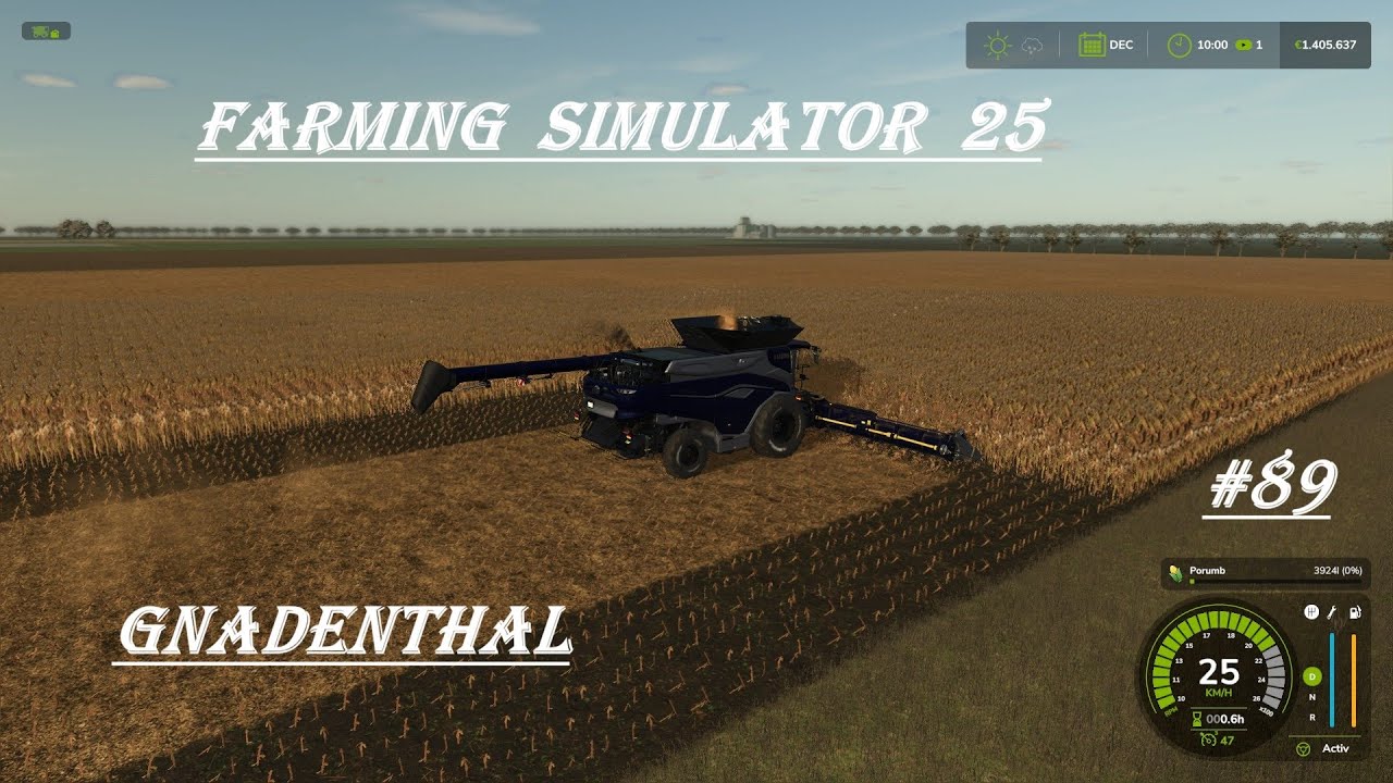 FS25-Gnadenthal-#89-Recoltez cereale si hranesc animale .