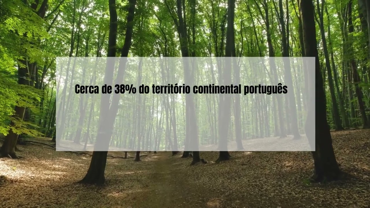 Dia da Floresta Autóctone - Associação Trevo