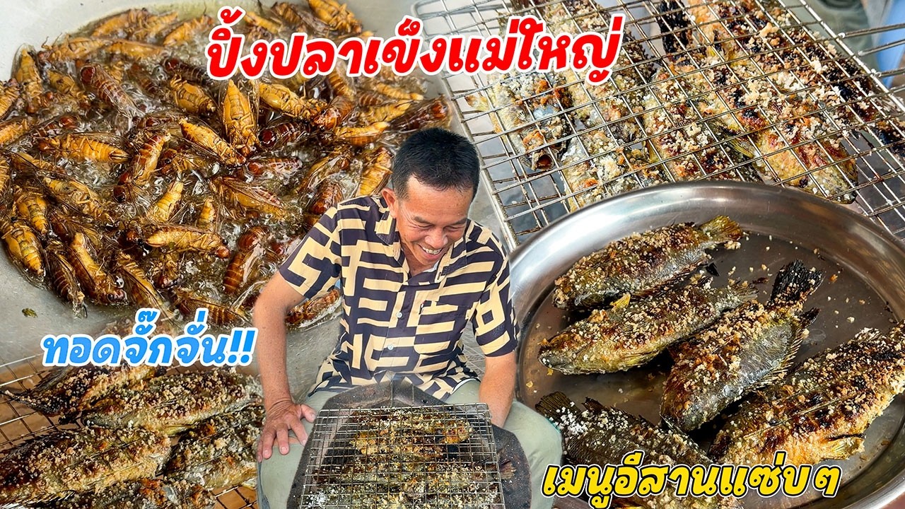 ปิ้งปลาเข็งใหญ่ แม่ไข่อย่างดี!! กับทอดจักจั่นกรอบๆ สองเมนูอีสานแซ่บๆวันนี้