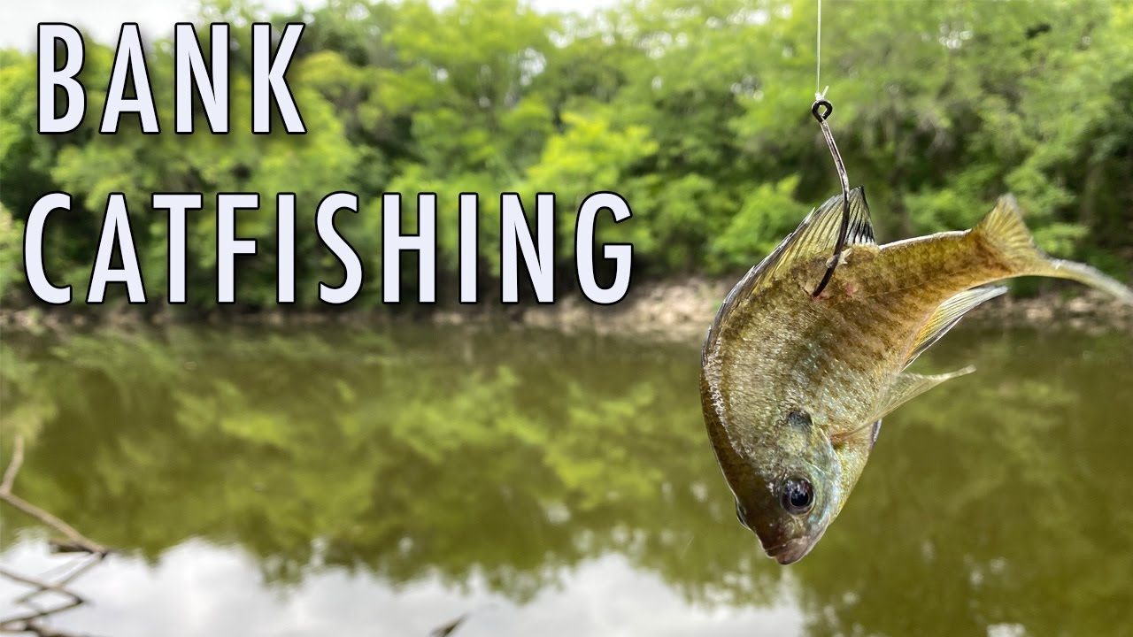 This fish almost stole my WHOLE setup! (Waco Texas Fishing)