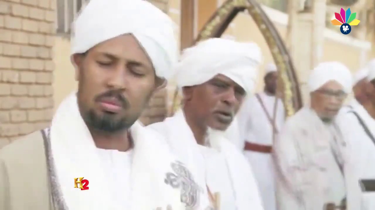 أولاد الشيخ قريب الله - إلي حي المليحة سر
