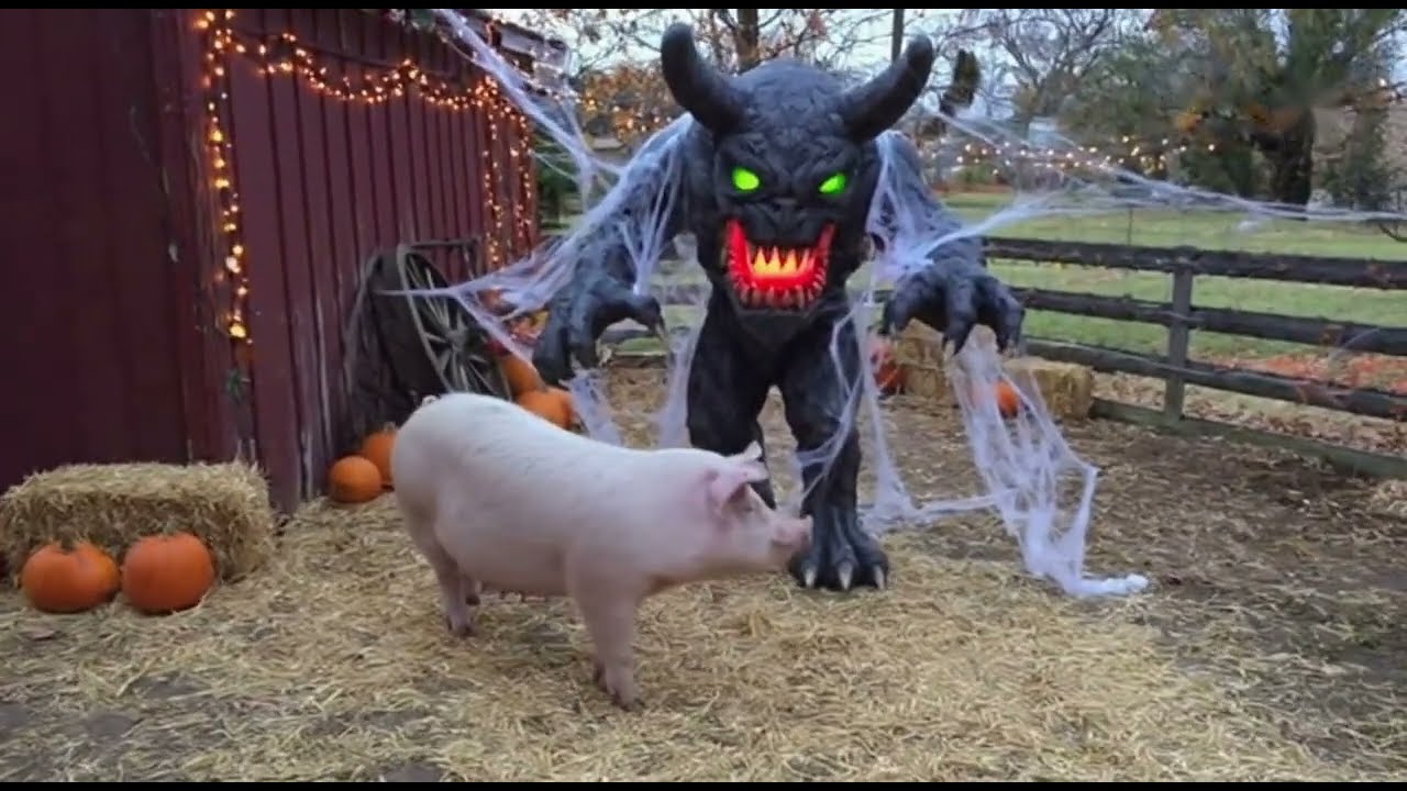🎃 50 невероятных моментов с животными | Они пугаются украшений на Хэллоуин (Часть 5)