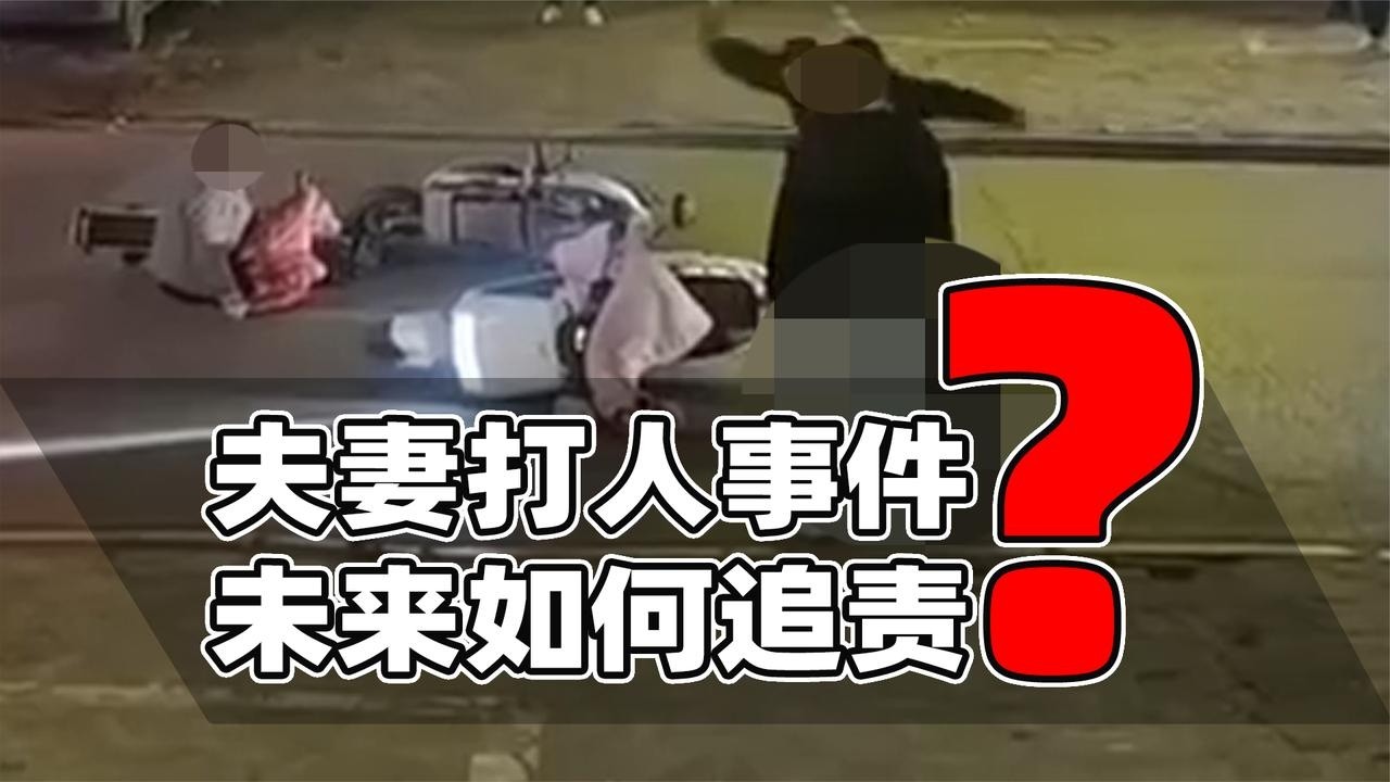 平顶山夫妇打人如何追责？涉嫌两罪或判实刑！前期事故影响待观察