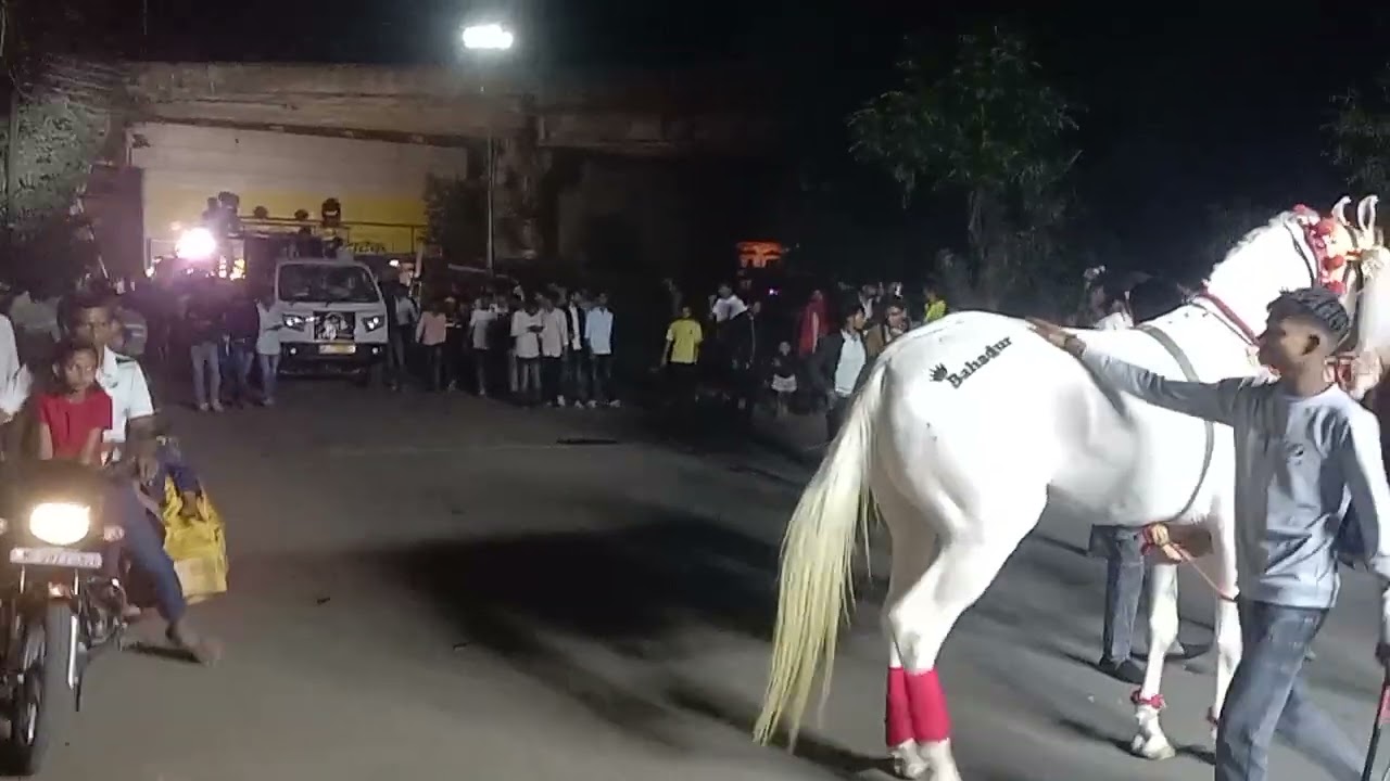 बोलबाबा की बारात sausar