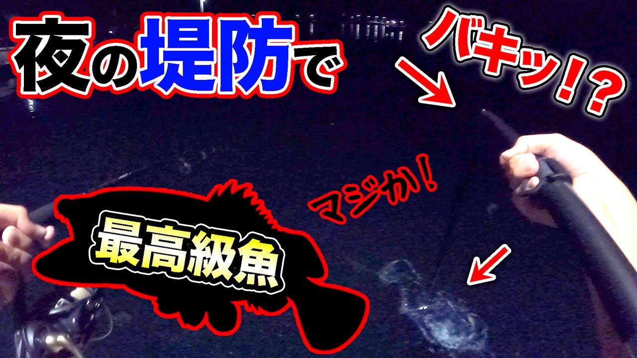 【離島生活#55】緊急事態発生？堤防からあの最高級魚が！！
