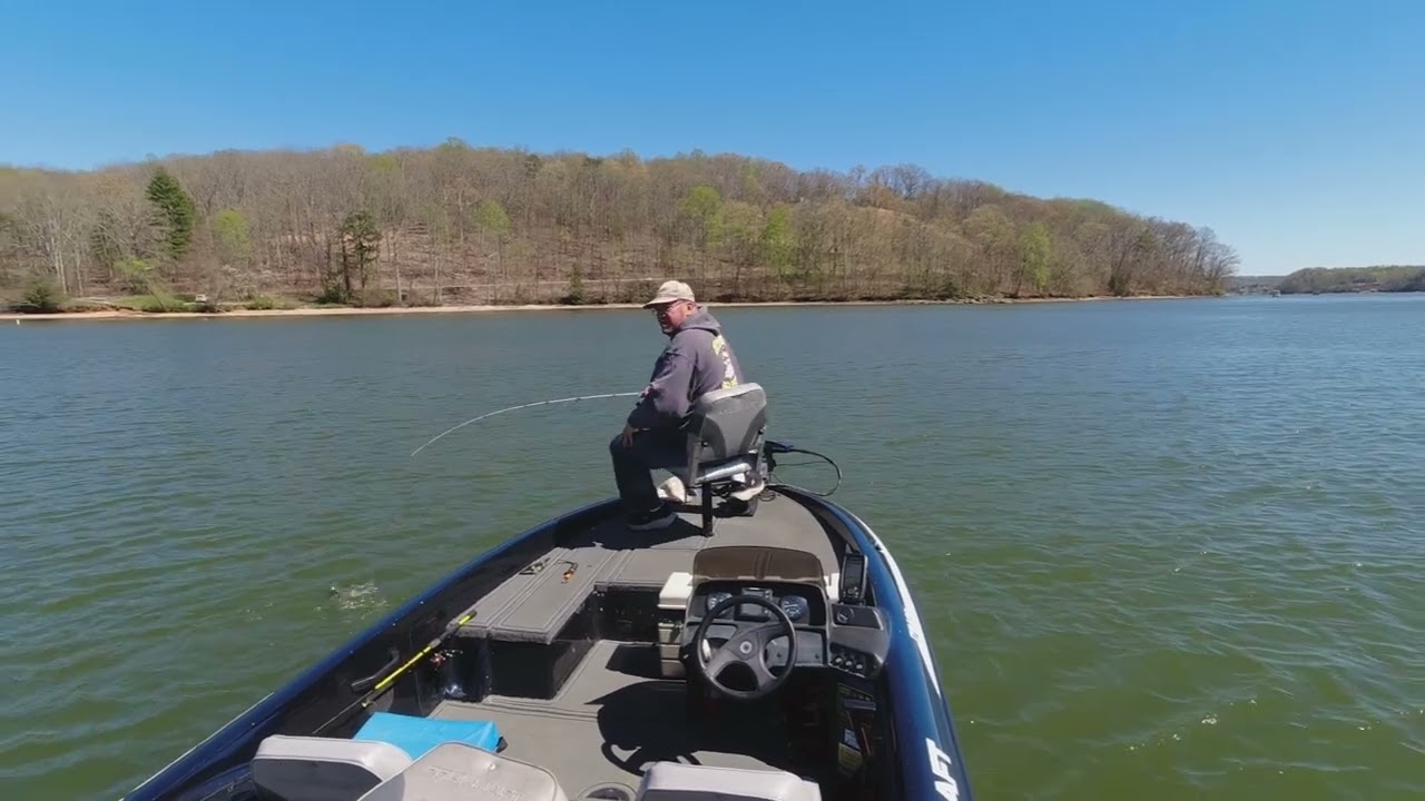 Watts Bar Lake White Bass Fishing 2026