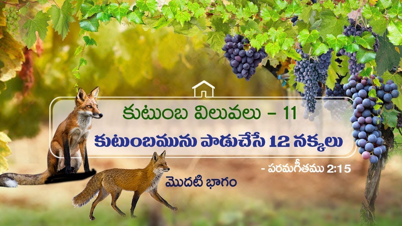 కుటుంబ విలువలు - 11 