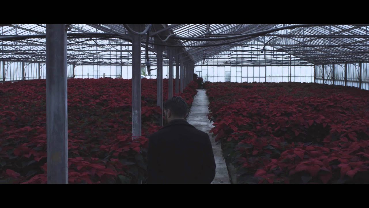 WORNOUT - violet (official videoclip)