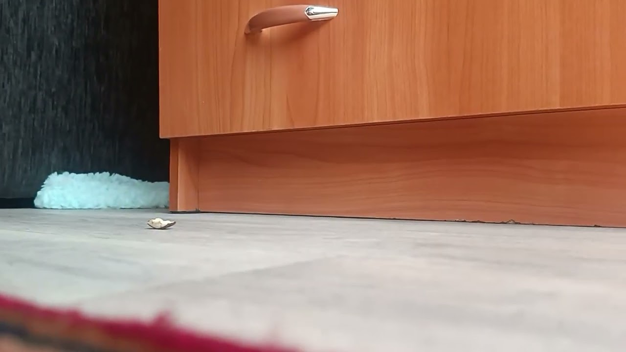 Стал фиксиком 2