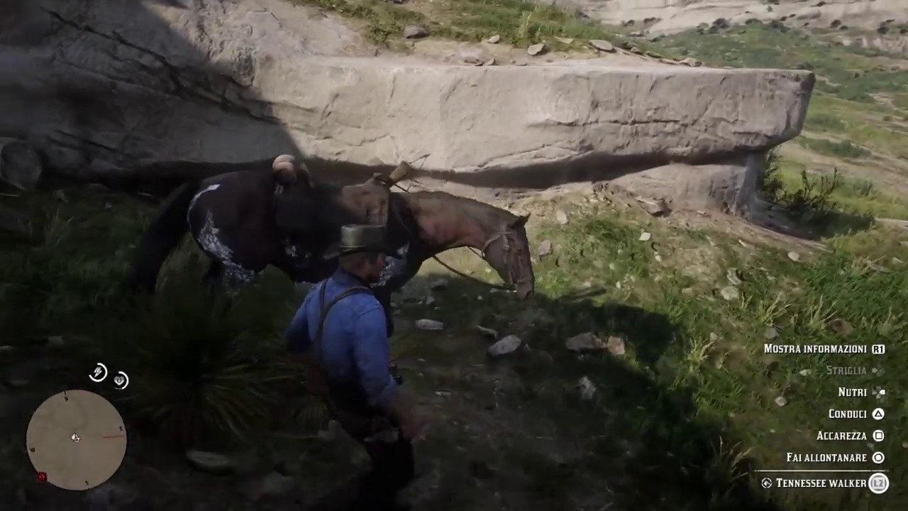 Red Dead Redemption 2 Horse Fail