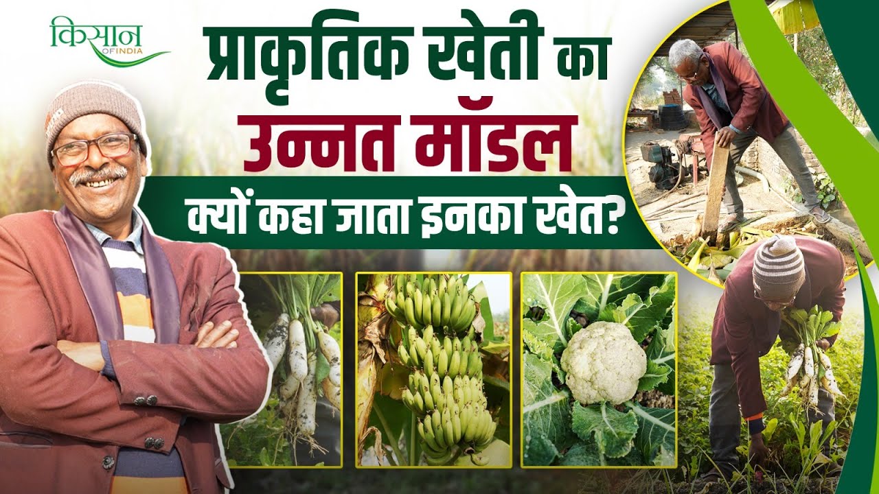 Natural Farming के साथ स्मार्ट फ़ार्मिंग, मनोज कुमार सिंह से जानें प्राकृतिक खेती के गुर