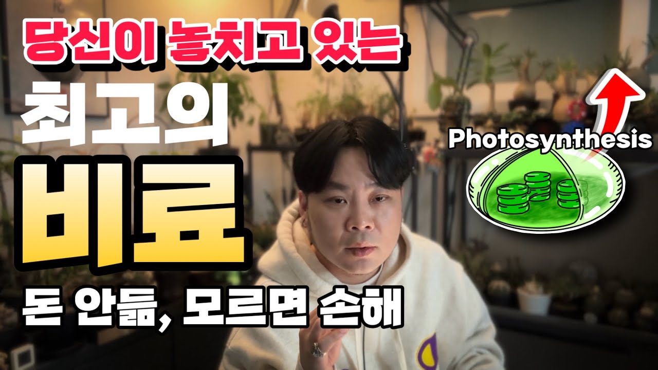 실제로 식물에게 예쁘다 말해주면 잘자라는 과학적 이유